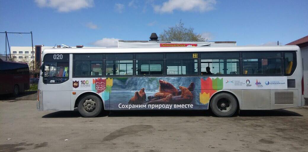 Сивучи, косатки и медведи украсили пассажирские автобусы в Петропавловске 